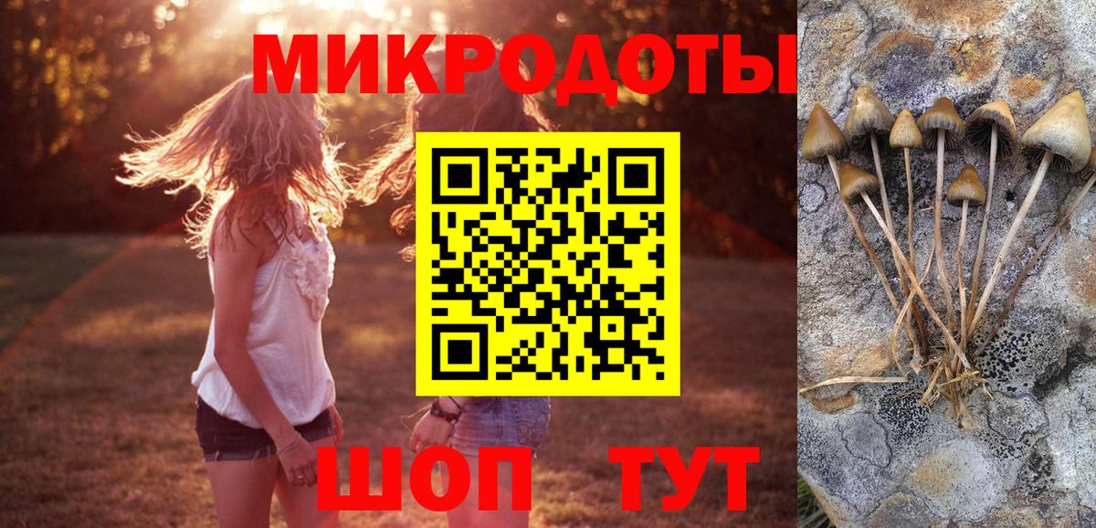 где купить   Вход с VPN  Галлюциногенные грибы Psilocybe  Ярославль  Галлюциногенные грибы Magic Shrooms 