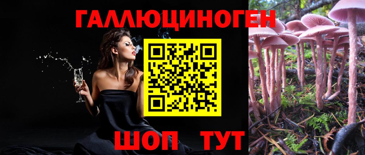 Галлюциногенные грибы ЛСД Ярославль