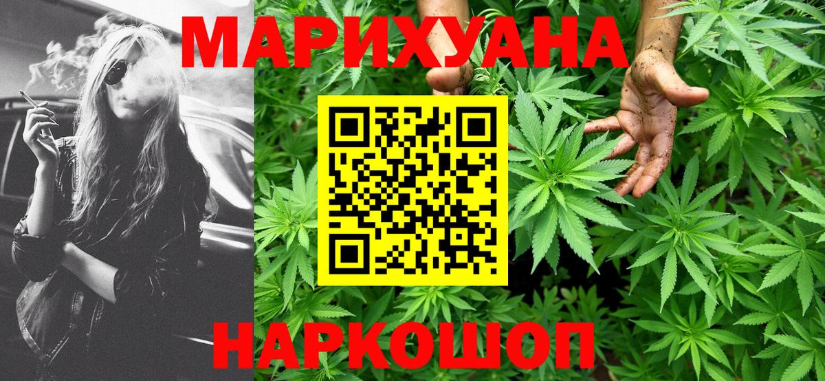 Конопля гибрид Ярославль